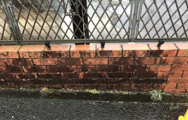 立川市にてレンガ塀の洗浄作業！