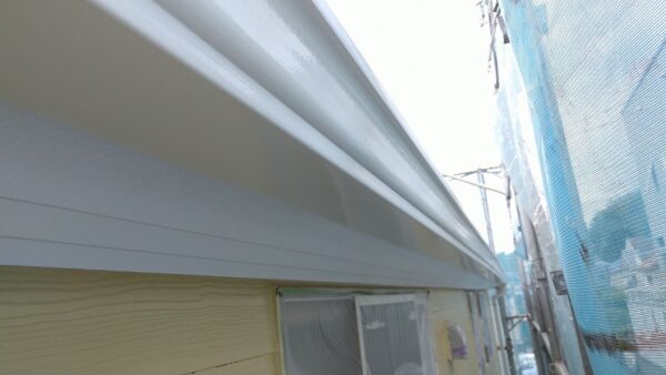 東京都国立市　A様邸　付帯部塗装　雨樋塗装　雨樋の重要な役割