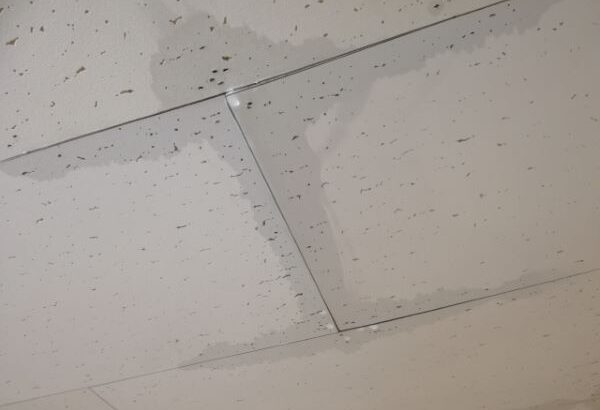 雨漏りは一体どこから発生するの？主な原因やメカニズムを解説