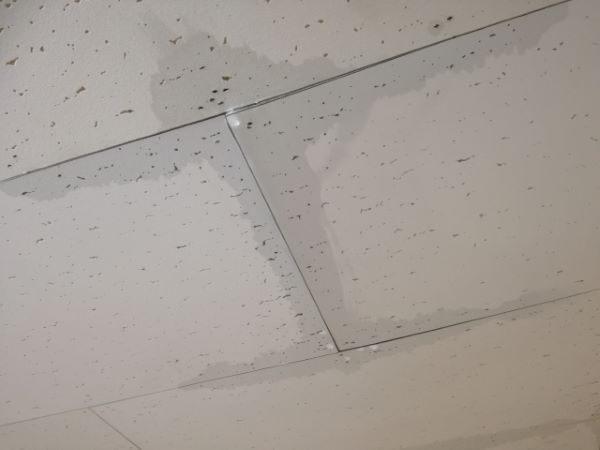雨漏りは一体どこから発生するの？主な原因やメカニズムを解説