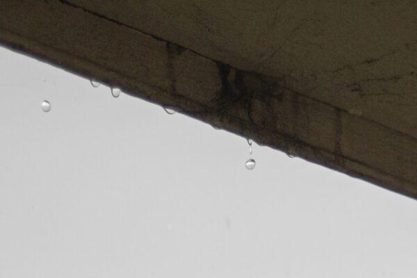 雨漏りは一体どこから発生するの？主な原因やメカニズムを解説