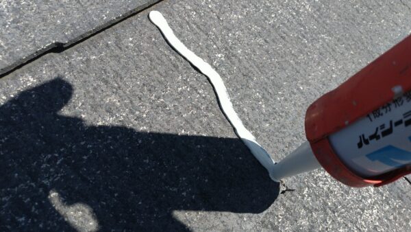 東京都国分寺市　F様邸　屋根塗装工事　屋根のひび割れを放置するとどうなる？