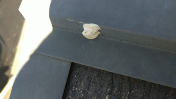 東京都国分寺市　F様邸　屋根塗装工事　棟板金補修　安全性を高めるために釘の打ち直しをおこないました！