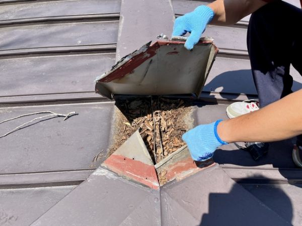 棟板金の釘浮きの補修方法とは?原因や放置した際のリスクも解説